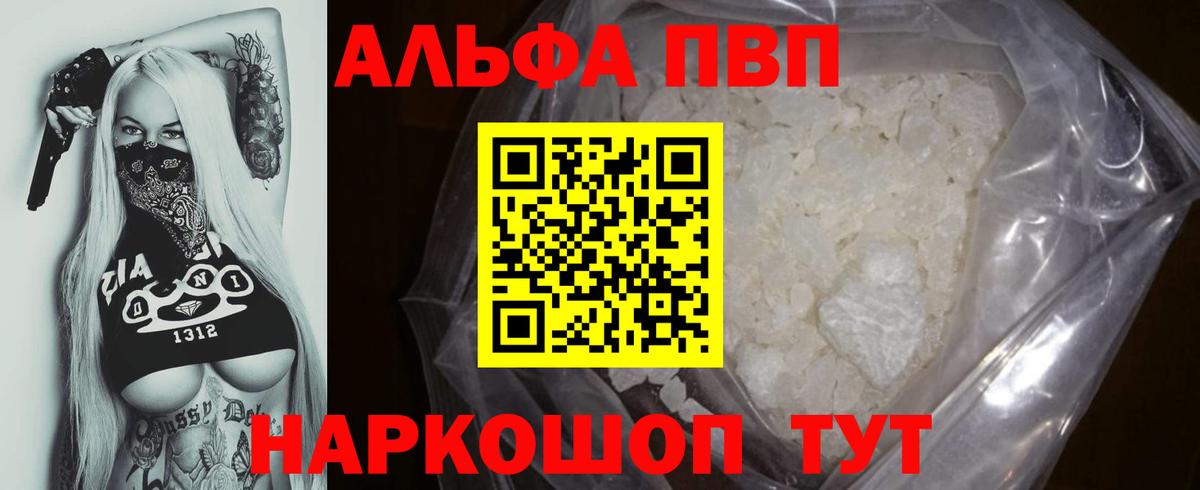 A PVP СК КРИС Елизово