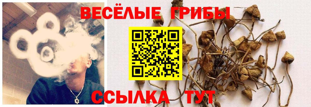 Галлюциногенные грибы Magic Shrooms Елизово