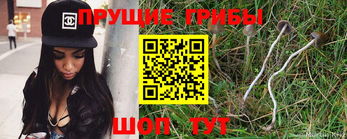 Елизово  Псилоцибиновые грибы прущие грибы  закладка  Вход с VPN 